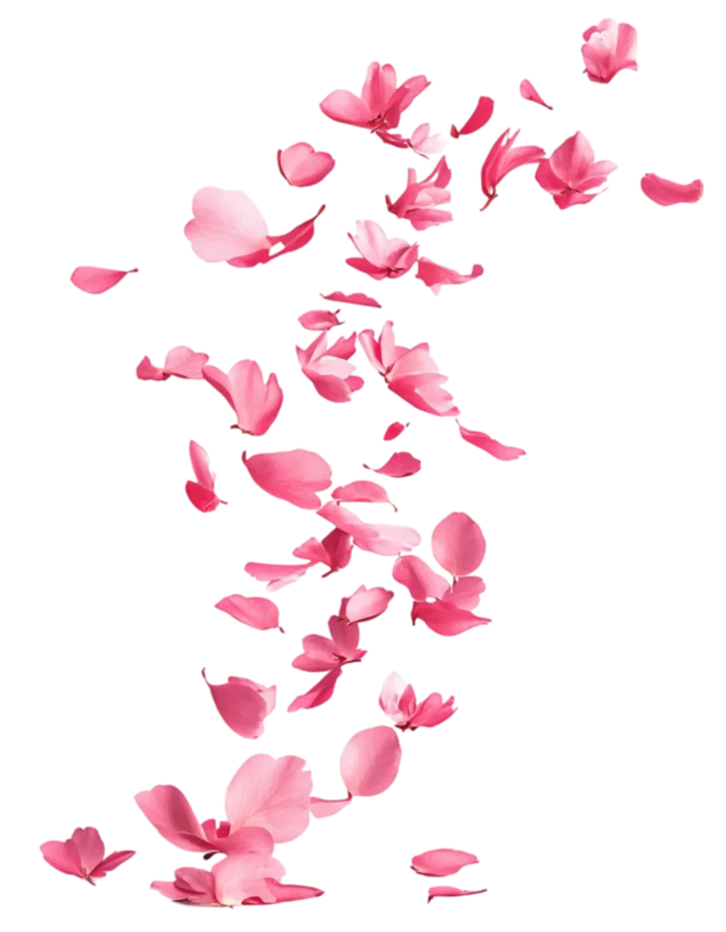 Rose E Fee Reflexologie Plantaire Illkirch Graffenstaden Petale