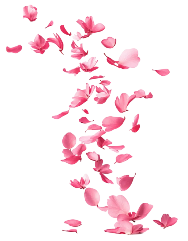 Rose E Fee Reflexologie Plantaire Illkirch Graffenstaden Petale2