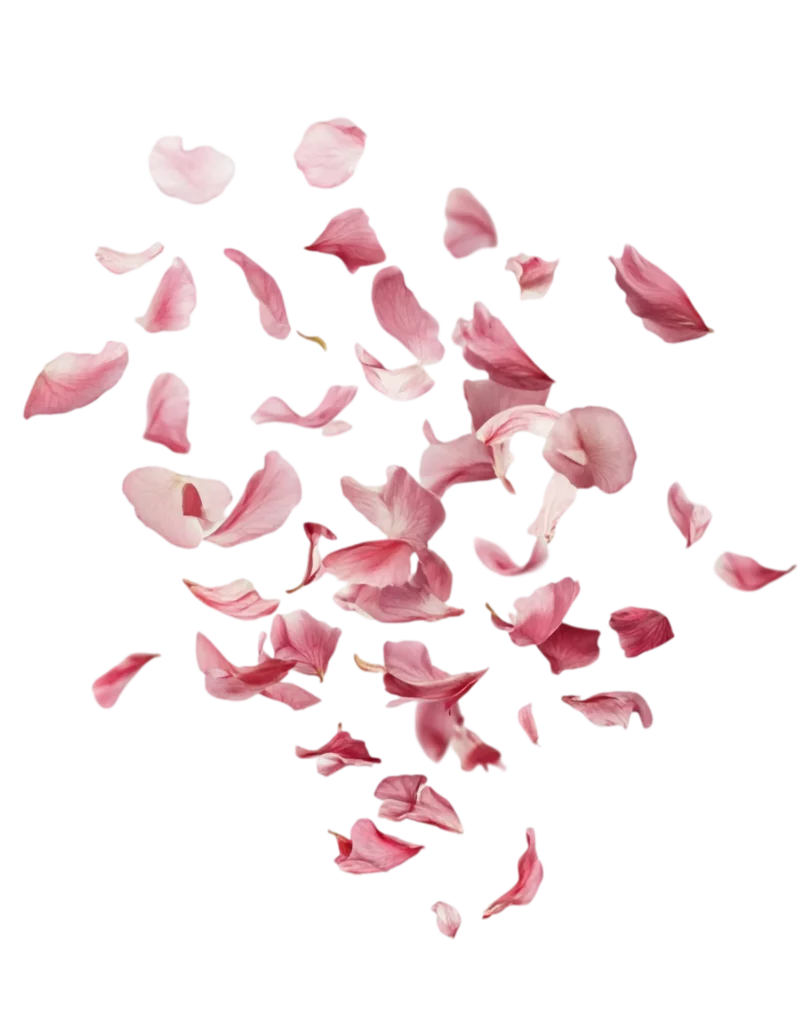 Rose E Fee Reflexologie Plantaire Illkirch Graffenstaden Petales2